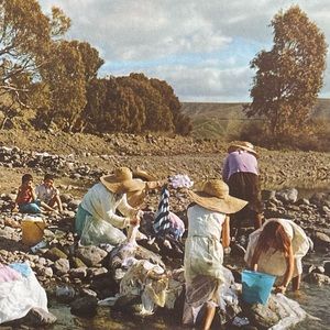 Meet your Posher, Dusty